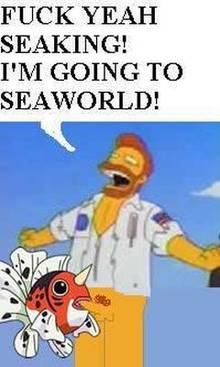 #pic254921: Porkyman – Seaking – The Simpsons – Troy McClure – meme